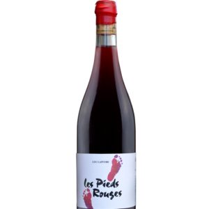 Vin Rouge - Luc Lapeyre - Les pieds rouges - VDF - 2024 - 75cl
