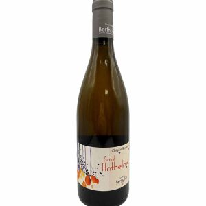 Vin Blanc -Domaine Berthollier - Chignin Bergeron - St Anthelme - 2017 - 75cl