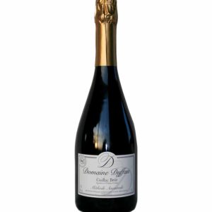 Méthode Ancestrale - Bulle blanche - Brut sans sulfite- Domaine Duffau - 75 cl
