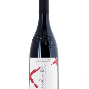 Vin Rouge - Le Chemin des Rêves - Grés de Montpellier - l'Exubérant - 2021 -75cl