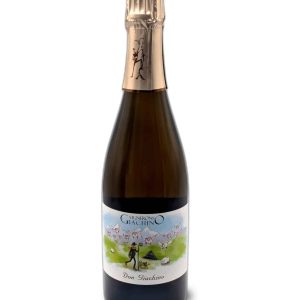 Vin Blanc Effervescent - Giachino - Don Giachino - VDF - 2020 - 75cl